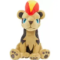 Pokemon fit - Pokémon / Pyroar