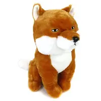 Tibetan fox Plush