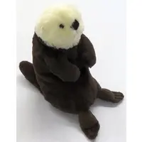 Plush - Sea otter