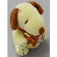 Plush - PEANUTS / Snoopy