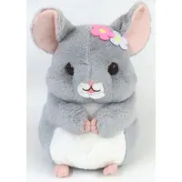 Plush - Chinchilla no Lala-chan
