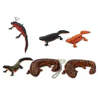 Trading Figure - Japanese giant salamander