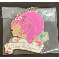 Ichiban Kuji - Pretty Cure Series