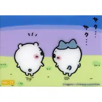Character Card - Chiikawa / Chiikawa & Hachiware