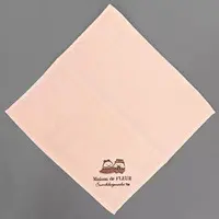 Towels - Handkerchief - Sumikko Gurashi / Tapioca