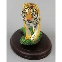 Trading Figure - Ikimono Daizukan