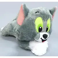 Plush - TOM and JERRY / Tom