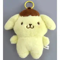 Plush - Sanrio characters / Pom Pom Purin