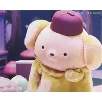 Canvas Board - Sanrio characters / Pom Pom Purin
