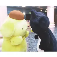 Canvas Board - Sanrio characters / Pom Pom Purin & BAD BADTZ-MARU