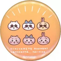 Badge - Chiikawa / Chiikawa & Usagi & Hachiware