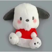 Plush - Sanrio / Pochacco