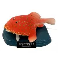 Trading Figure - Aquarium Figure Collection: Deep-Sea Creatures