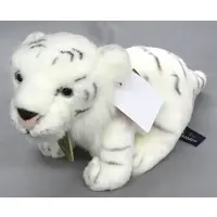 Plush - White tiger