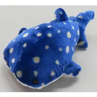 Plush - Whale shark