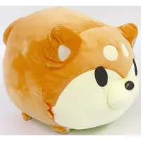 Plush - Boneless Dog & Cat