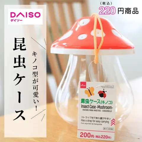 Insect Case (Mushroom)