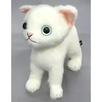 Plush - Cat