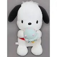 Plush - Sanrio / Pochacco