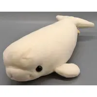 Plush - Cotton Cloudy