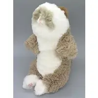 Plush - Hizaneko