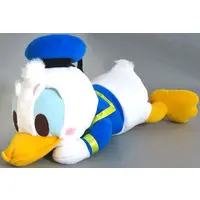Plush - Disney / Donald Duck