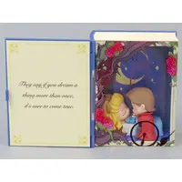 Trading Figure - POP MART / Aurora