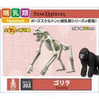 Trading Figure - Pose Skeleton