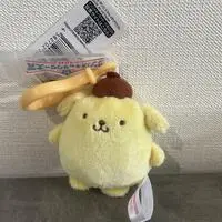 Plush - Sanrio / Pom Pom Purin