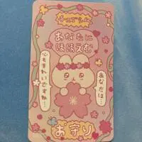 Stickers - Choigosim