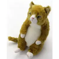 Plush - Cat
