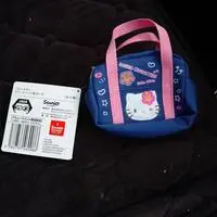 Pouch - Sanrio / Hello Kitty