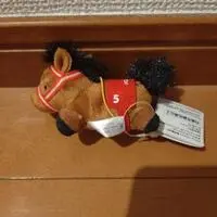 Plush - Thoroughbred collection