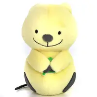 Plush - FANS