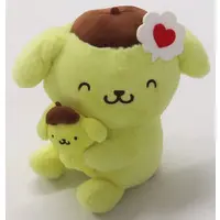 Plush - Sanrio / Pom Pom Purin