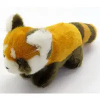Plush - Red panda (lesser panda)