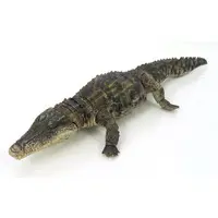Trading Figure - Ikimono Daizukan