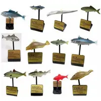 Trading Figure - Primary Color Saltwater Fish Encyclopedia