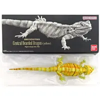 Trading Figure - Ikimono Daizukan