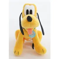 Plush - Disney / Pluto