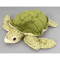 Plush - Okinawa Churaumi Aquarium