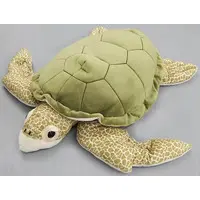 Plush - Okinawa Churaumi Aquarium