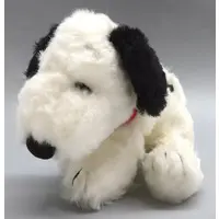 Plush - PEANUTS / Snoopy
