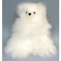 Plush - Bear