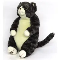 Plush - Cat