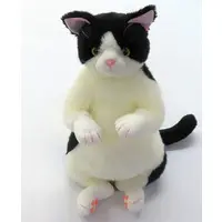 Plush - Cat