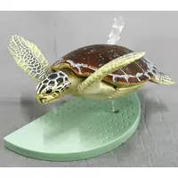 Trading Figure - TOBA AQUARIUM