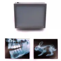 Trading Figure - X-ray light