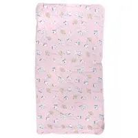 Pillow Case - Chiikawa