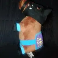 Plush - Thoroughbred collection